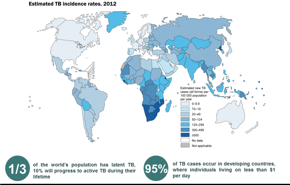 Estimated TB incidence rates, 2012