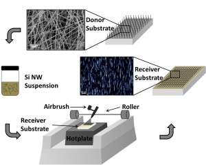 Schematic of the spray-coating process that involves a direct transfer of NW suspension to the receiver substrates. (A) Schematic and scanning electron microscopy (SEM) image of the NW sample used in this study. (B) Schematic of the NW suspension. (C) Schematic of the assembled apparatus used in this study. (D) Schematic and optical microscopy image of Si NW spray-coated on the SiOx/Si substrate.