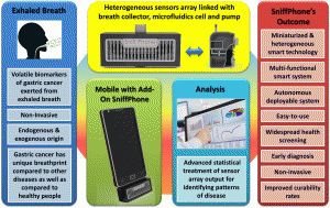 Schematic illustration of the main components and features of the SNIFFPHONE: exhaled breath, heterogeneous sensors array linked with breath collector and microfluidic cell, and advanced statistical and pattern recognition methods. The expected outcome of the SNIFFPHONE’s project is presented as well. 