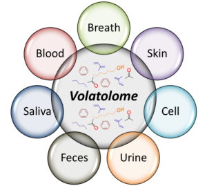 schematic figure representing the different sources of Volatolomics signature, such as- breath, skin, blood, urine etc.