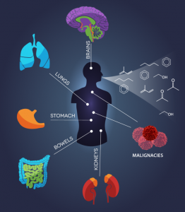 schematic figure representing breath sampling for disease detection in different organs in the body such as: kidney, lung etc.